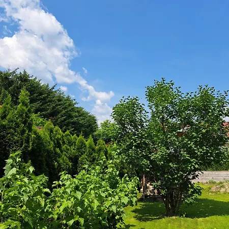Katzer * Tropolach